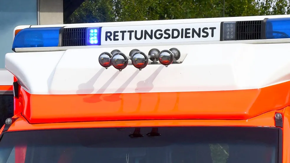 Unfassbare Gewalt-Eskalation auf dem Schulhof der Bertha-von-Suttner Schule in Geesthacht. Foto: Patrick Niemeier