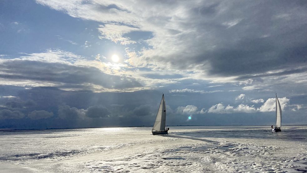 Die Algenblüte ist vorbei: An vielen Stellen der Nordsee hat sich ein dicker Schaumteppich gebildet, der mit Strom und Wind an die Strände getrieben wird. Foto: Hanz
