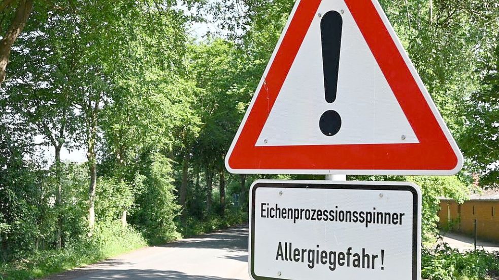 Der Eichenprozessionsspinner kommt im gesamten Oldenburger Münsterland vor. Vielerorts wird in den Landkreisen Cloppenburg und Vechta auf die daraus resultierenden Gefahren für den Menschen hingewiesen. Foto: Hermes