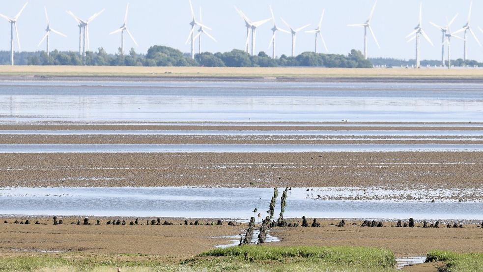 Ein Blick von der Südseite der ostfriesischen Insel Norderney auf das Wattenmeer bis zur Küste am Festland (Landkreis Aurich). Jäger und Nationalparkverwaltung gehen davon aus, dass ein auf der Insel gesichteter Wolf einen Weg durch das Watt bei Niedrigwasser nahm. Foto: Bartels/DPA