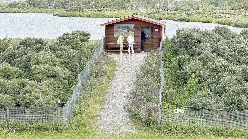 Eine Beobachtungshütte im Vogelschutzgebiet Südstrandpolder an der Südseite der ostfriesischen Insel Norderney. Eine Wildtierkamera hat in dem Gebiet einen Wolf fotografiert. Foto: Bartels/DPA