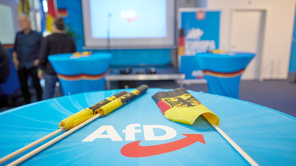 Die AfD Foto: dpa/Jörg Carstensen