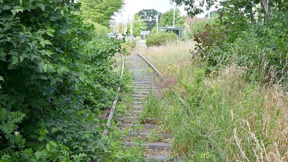 Auf absehbare Zeit wird zwischen Cloppenburg und Friesoythe kein Zug auf der Bahnstrecke fahren. Eine Herrichtung der Strecke ist deshalb wirtschaftlich nicht darstellbar, heißt es von der F.E.G.. Foto: Stix