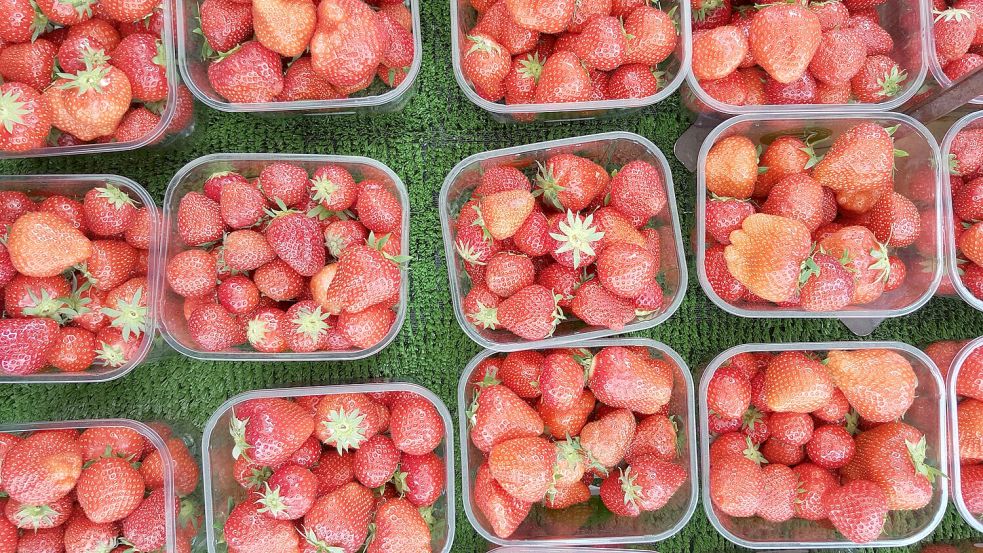 Es lohnt sich beim Kauf von Erdbeeren auf Herkunft und Sorte zu achten. Foto: Unsplash/Priscilla Fong