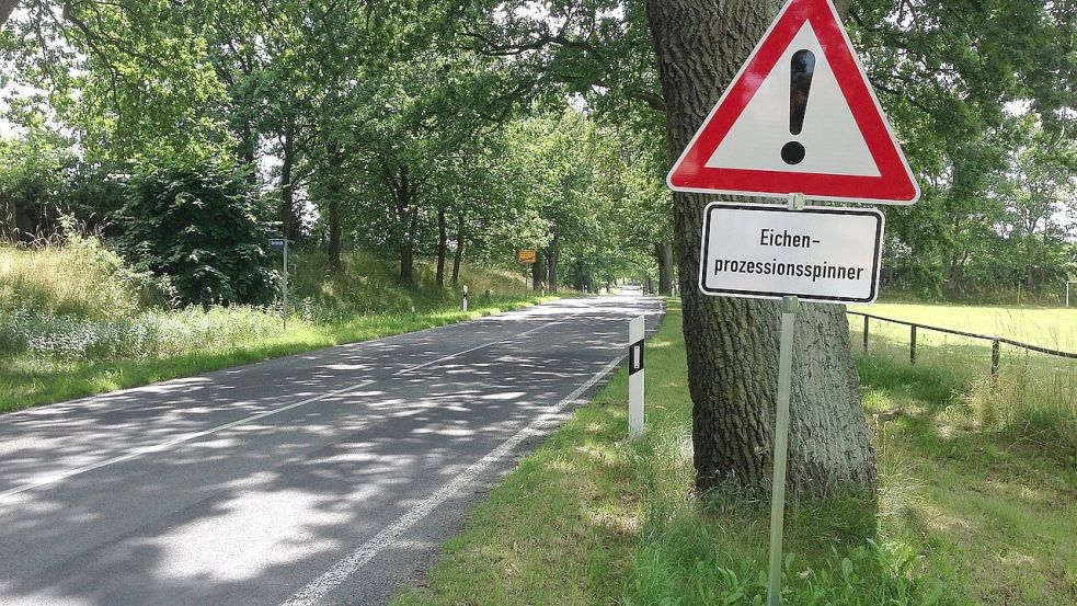 Schilder mit Warnhinweisen werden in zahlreichen Kommunen aufgestellt, um vor dem Eichenprozessionssinner zu warnen. Foto: ceskyfreund36 auf Pixabay