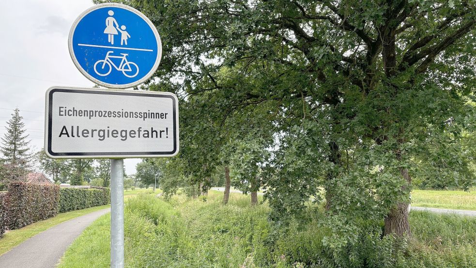 In Außenbereichen wird oft durch Beschilderung auf die Allergie-Gefahr durch den Eichenprozessionsspinner hingewiesen. Foto: Kruse
