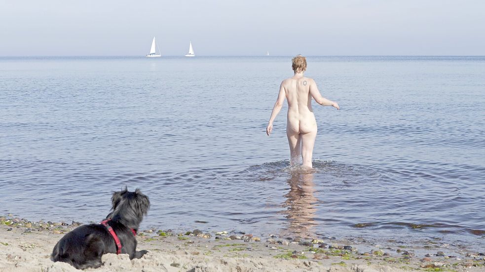 Hunde und Nackte baden vielerorts gemeinsam: Hier am Strand von Kühlungsborn. Foto: IMAGO/Imagebroker