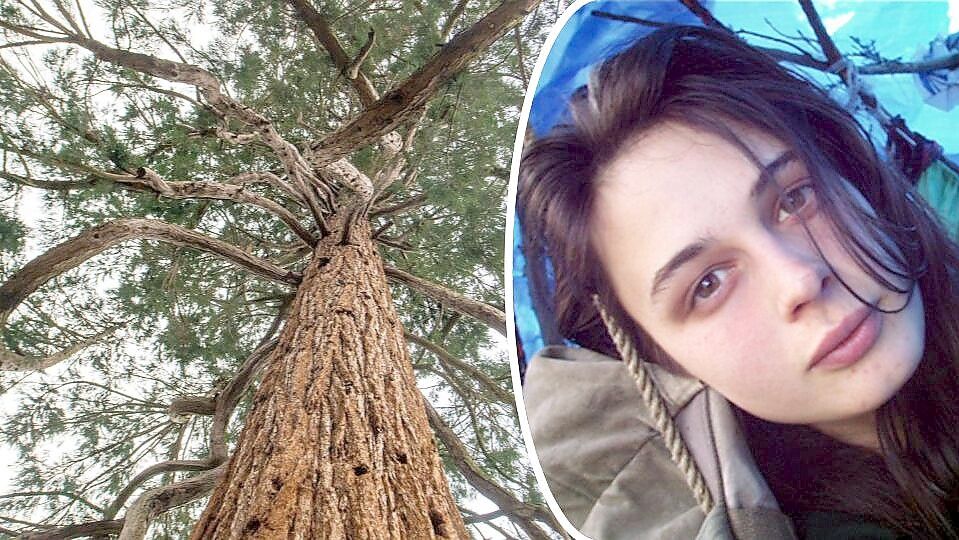 Zwei Jahre lang lebte Julia Hill in einem Mammutbaum, um den Baum vor der Abholzung zu retten. Foto: dpa/Sina Schuldt/Julia Hill