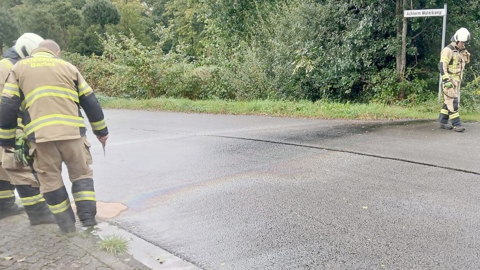 Die Feuerwehrleute bemühten sich, Schaden an der Umwelt durch den ausgelaufenen Dieselkraftstoff zu verhindern. Foto: Feuerwehr