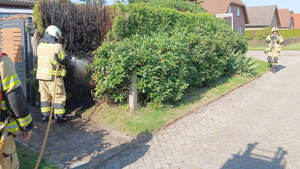 Zu einem Heckenbrand an der Rosenstraße rückte die Barßeler Feuerwehr am Donnerstagnachmittag aus. Jemand hatte Unkraft abgeflämmt und dabei versehentlich die Thujahecke in Brand gesetzt. Foto: Feuerwehr
