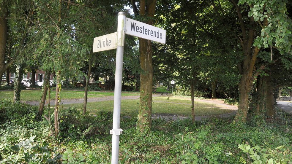Die Grünanlage befindet sich an der Ecke Westerende/Blinke. Die Büsche wurden stark zurückgeschnitten. Foto: Wolters