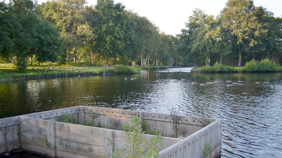 Für Tretminen rund um den Hahnentanger See sorgen auch die Kanadagänse, die See und Ufer der beliebten Ausflugsdestination bevölkern. Foto: Fertig