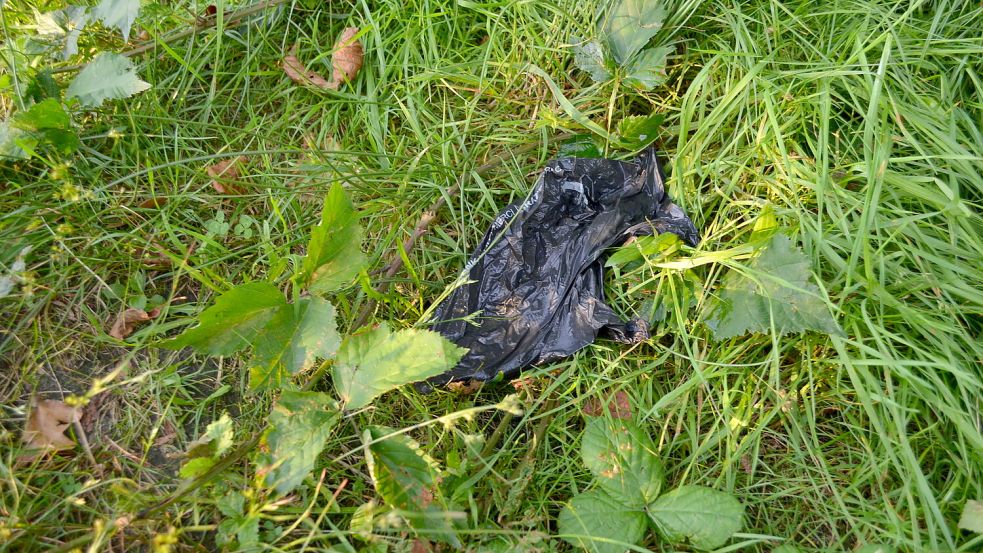 So nicht! Das Exemplar eines benutzten Hundekotbeutels, den jemand nach der Verwendung in der Natur entsorgt hat. Foto: Fertig