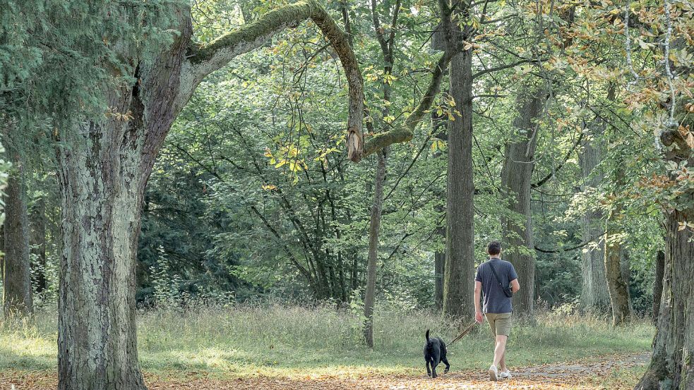 Wann beginnt in Deutschland der Herbst? Das ist der Unterschied zwischen meteorologischem und kalendarischem Herbstanfang. Foto: Daniel Vogl
