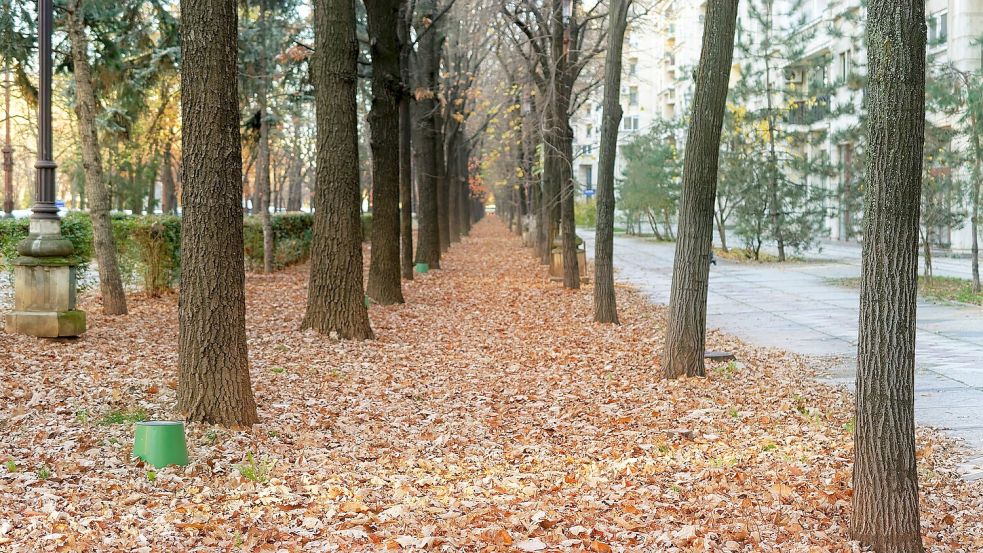 Um öffentliche Wege kümmert sich häufig die Kommune. Symbolfoto: Pixabay