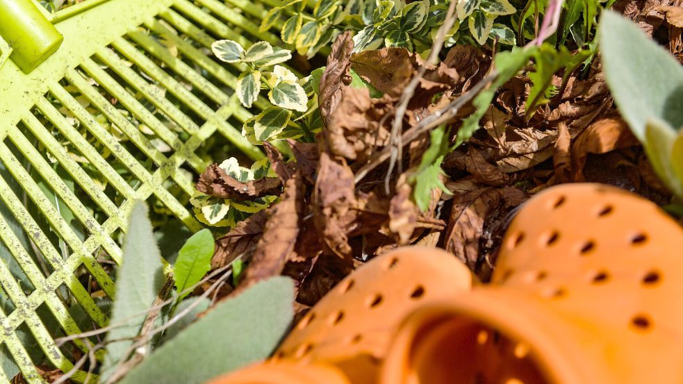 Im Garten kann Laub auch mal liegen bleiben. Foto: Ortgies/Archiv