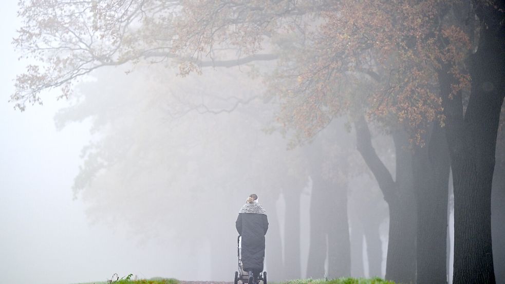 Typischer Novembertag: Neblig und grau präsentiert sich das Wetter in Niedersachsen aktuell. Foto: dpa/Patrick Pleul