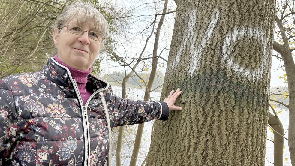 Kornelia Kwasnitza an einem der für die Fällung vorgesehenen Bäume. Hier haben Unbekannte nicht nur die Markierung übermalt, sondern auch ein großes „No“ (Nein) aufgesprayt. Foto: Janßen