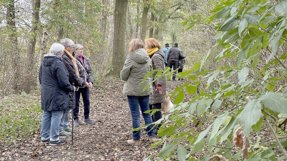Diskussionen auf dem Wanderweg: Die geplanten Baumfällungen sind Gesprächsthema unter den Spaziergängern am Hahnentanger See. Foto: Janßen