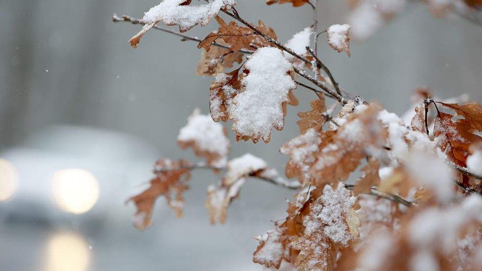 In Niedersachsen kann der erste Schnee in diesem Winter fallen. Foto: dpa/Matthias Bein