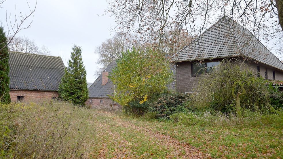 Zugewachsen und verwahrlost ist das vom Landkreis gekaufte Gelände. Foto: Decker