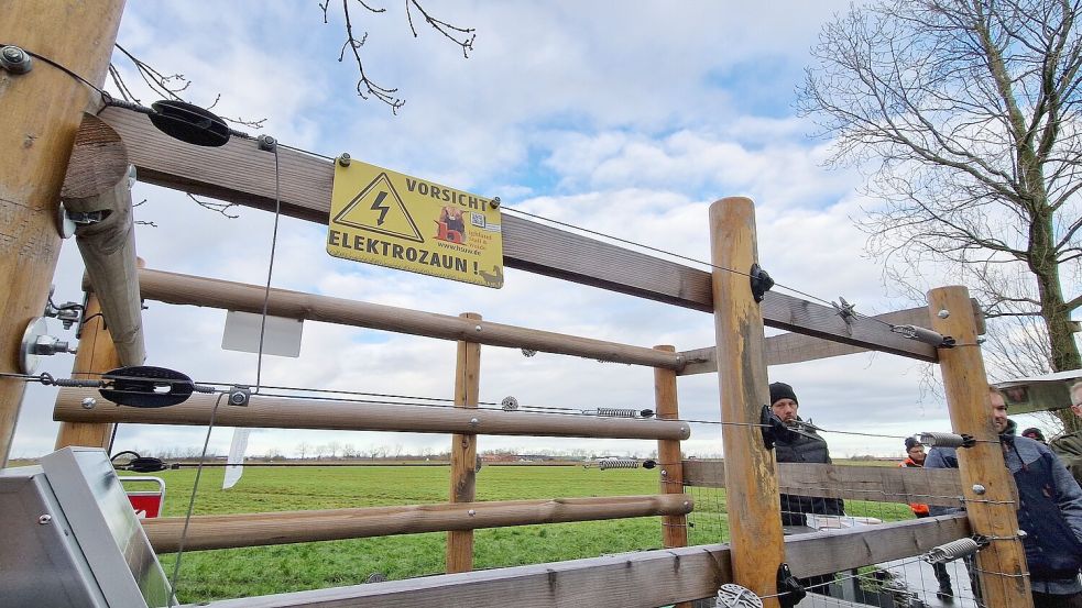 Mit solchen festen Zäunen sollen größere Tiere wie Rinder und Pferde vor Wolfsattacken geschützt werden. Foto: Gettkowski