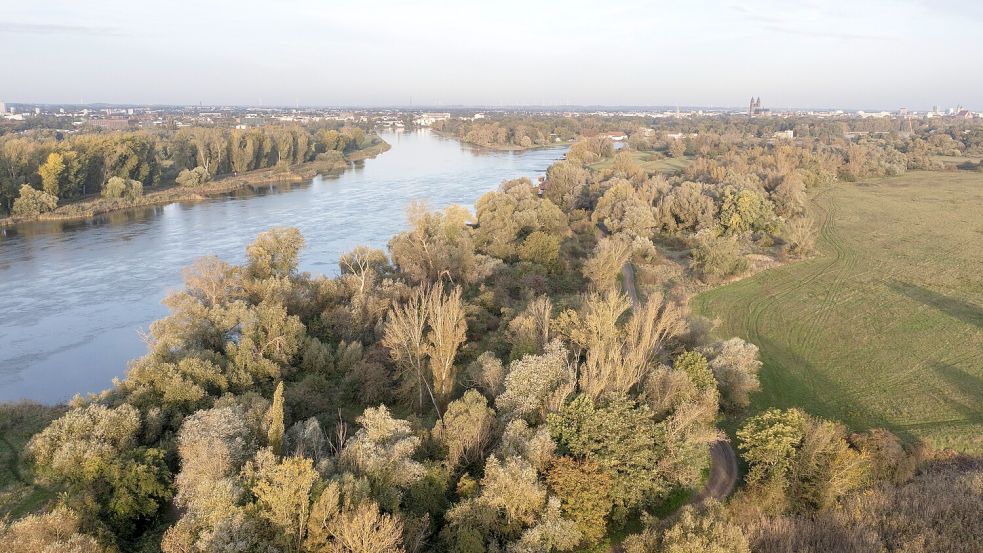 Eine aktuelle Analyse der Europäischen Umweltagentur zeigt die starke chemische Belastung der Gewässer. Die Elbe ist in Deutschland besonders stark betroffen. Foto: IMAGO/imagebroker