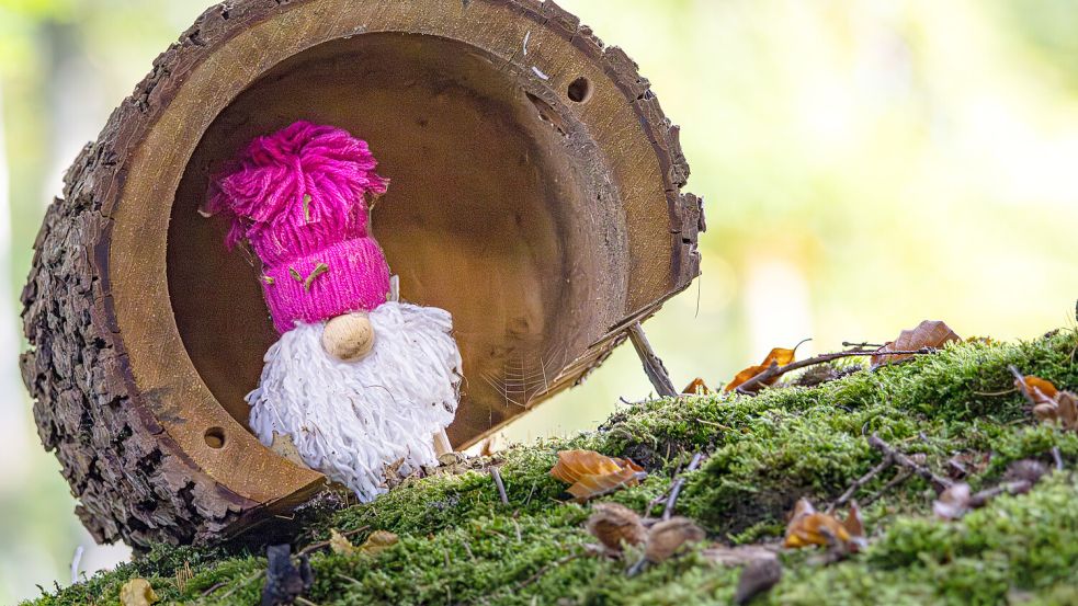 In einem Baumstamm hat es sich ein Wichtel in Barkhausen bequem gemacht. Foto: Heinz-Jürgen Reiß