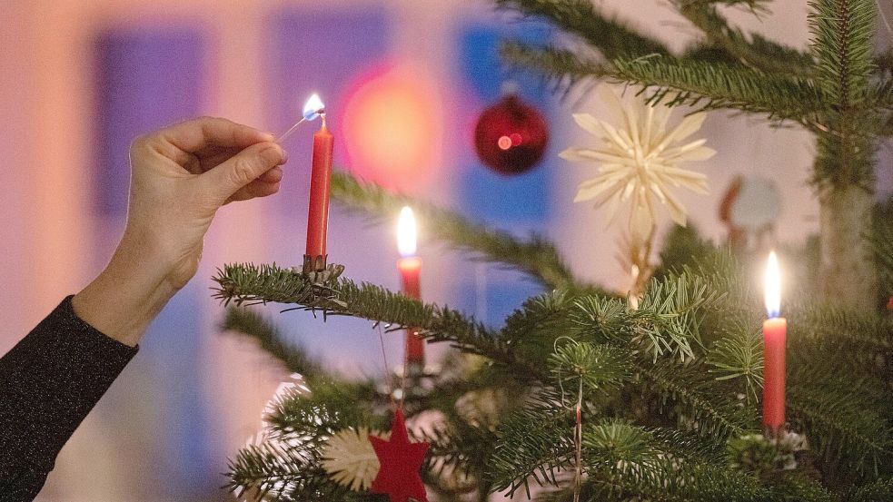 Der Christbaum gehört für die meisten Menschen zu Weihnachten. Der Sozialverband beklagt: Viele müssten in diesem Jahr darauf verzichten. Foto: Marijan Murat