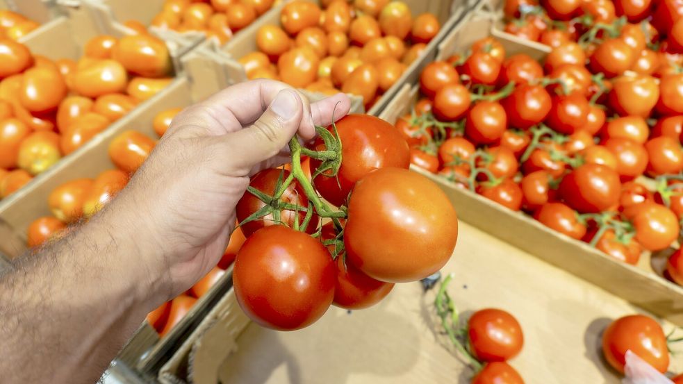 Die Tomate lässt sich in der Küche vielseitig einsetzen. Aber kann auch alles mitgegessen werden? Foto: IMAGO/imageBROKER/Unai Huizi