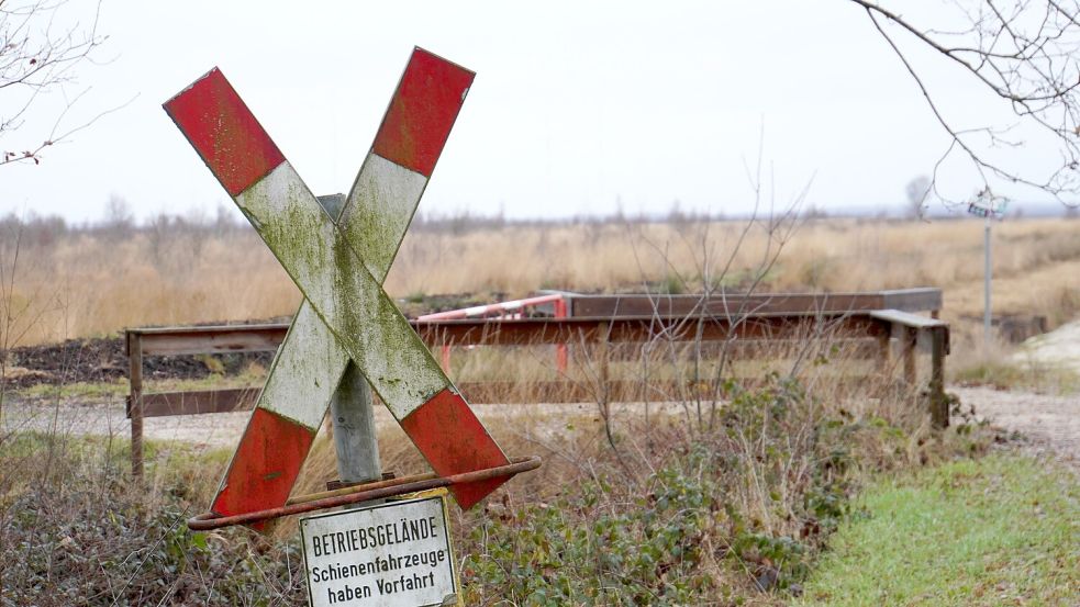 Das Naturschutzgebiet „Esterweger Dose“ in Niedersachsen soll Tatort eines mutmaßlichen Umweltskandals sein, der Torfunternehmern nun teuer zu stehen kommen könnte. Foto: Mirco Moormann