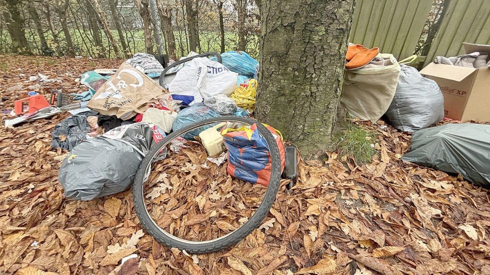 Am Hoheellernweg wurden große Mengen Müll illegal entsorgt. Foto: Archiv