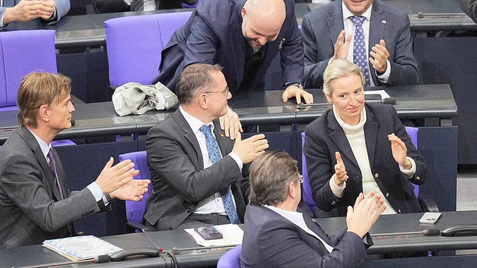 Seit siebeneinhalb Jahren sitzt die AfD im Bundestag. Ein Verbot wird weder die Wut ihrer Wähler noch ihren Politikstil beseitigen. Foto: Michael Kappeler/dpa