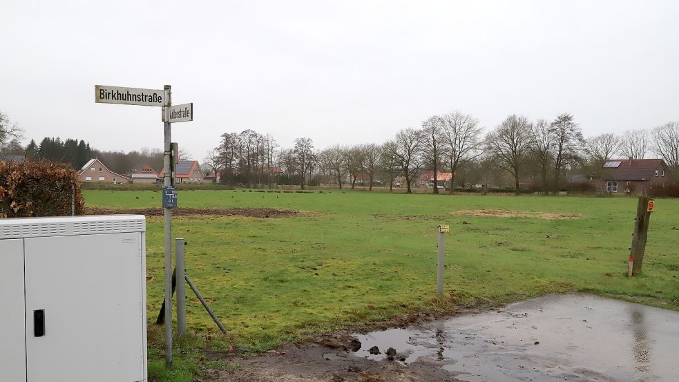 Auf diesem ehemaligen Fußballfeld an der Adlerstraße werden demnächst Häuser gebaut. Foto: Passmann