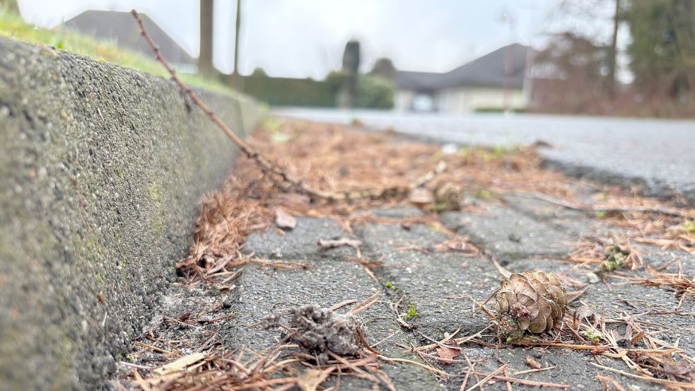 An Straßen mit Hochbord, also einer hohen Bordsteinkante, reinigt die Gemeinde seit Anfang 2024 wieder Straße und Rinnstein. Foto: Janßen