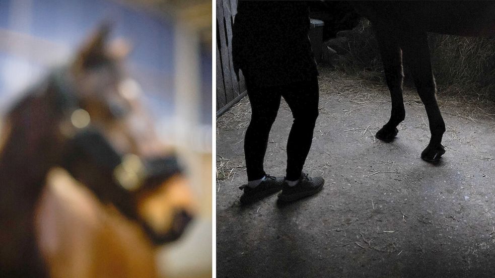 Auf Reiterhöfen kommt es immer wieder zu sexuellem Missbrauch. Das haben Recherchen unserer Redaktion gezeigt. Foto: Michael Gründel