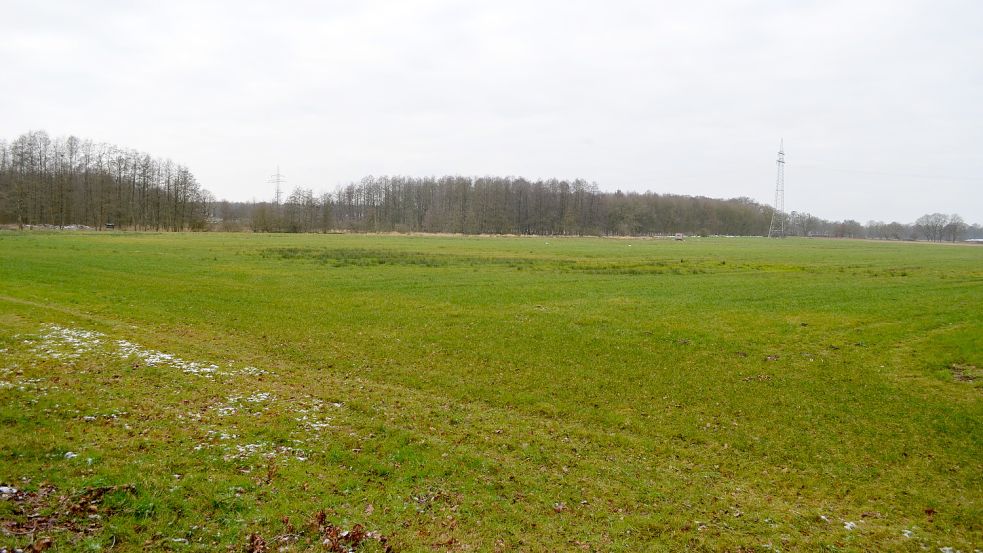 45 Hektar umfasst das Gelände in Ramsloh, das jetzt planerisch als Wohngebiet „Wohnbau Eichenstraße“ auf den Weg gebracht wurde. Auf der Fläche verläuft eine Freileitung für Strom. Foto: Fertig