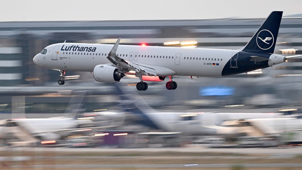 Landung am Frankfurter Flughafen: Die Airlines stehen unter Kostendruck. Foto: dpa/Arne Dedert