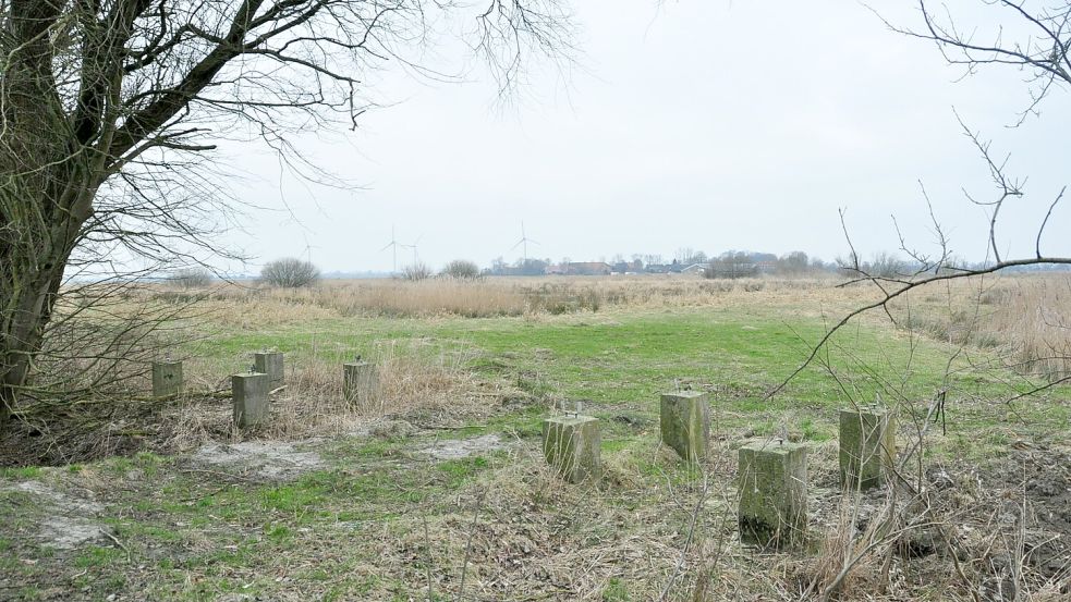 Der Turm, von dem aus man in Coldam die Konikpferde und Heckrinder beobachten konnte, wurde inzwischen vom Nabu abgebaut. Foto: Wolters