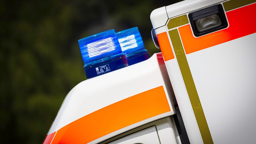 In Berlin ist es am Montag zum tödlichen Unfall bei der Arbeit der Müllabfuhr gekommen. Foto: dpa/Moritz Frankenberg