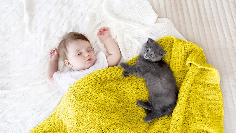 Der Nachwuchs vieler Säugetiere ist bei der Geburt direkt relativ selbstständig. Anders sieht es beim Menschen aus. Foto: IMAGO/imagebroker/Dasha Petrenko