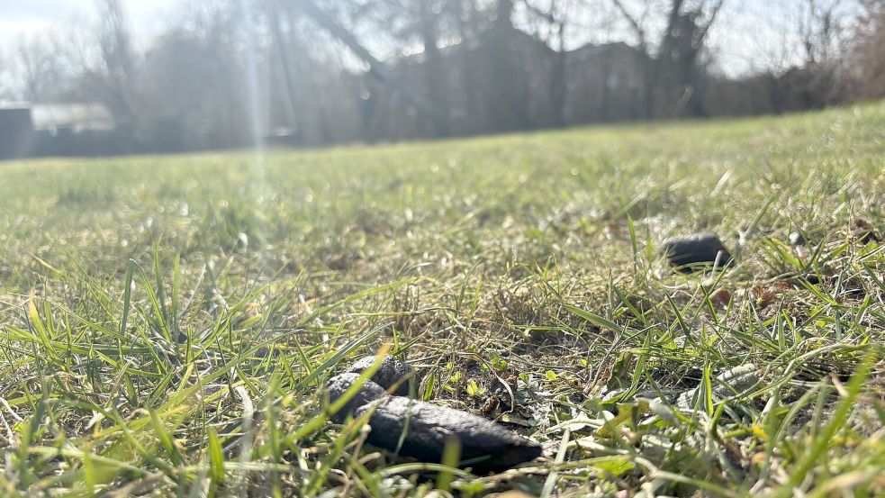 Hundehaufen auf dem Spielplatz Diekelweg: Im Moment ist das ein Dauerzustand. Foto: Löschen