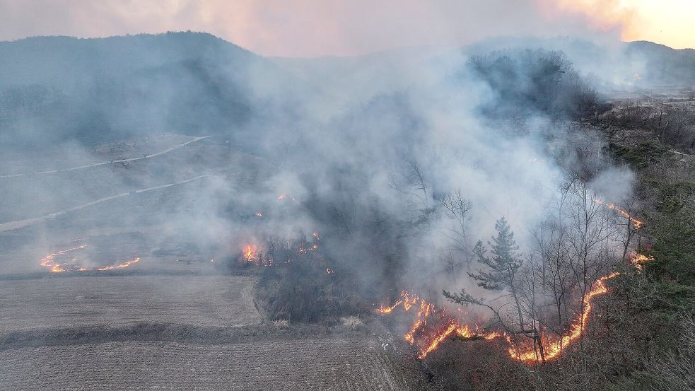 Mindestens vier Menschen sind beim Einsatz gegen Waldbrände in Südkorea ums Leben gekommen. Foto: Yoon Gwan-shick/Yonhap/AP/dpa