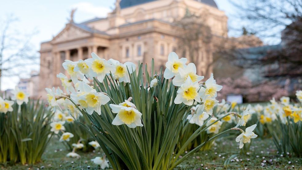 Temperaturen bis zu 18 Grad erwartet der Wetterdienst in den kommenden Tagen. Foto: Jörg Halisch/dpa