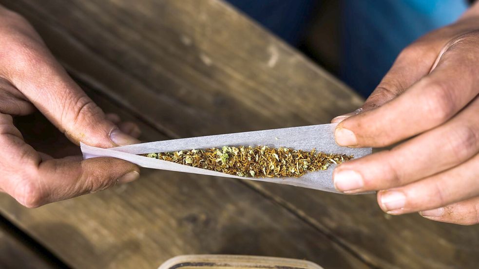 Cannabis ist in Deutschland seit 1. April 2024 für Erwachsene freigegeben (Symbolbild). Foto: Philipp von Ditfurth/dpa