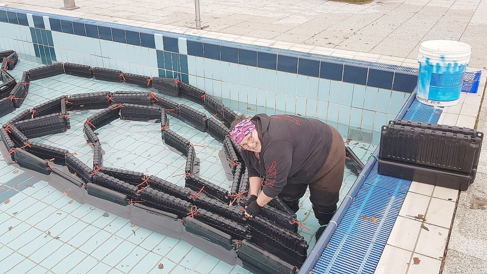 Die Mitarbeiter im Freibad Hengstforde arbeiten mit Hochdruck daran, das Bad aus dem Winterschlaf zu holen. An viele Stellen wird gewerkelt. Foto: Gemeinde Apen/Sczesny