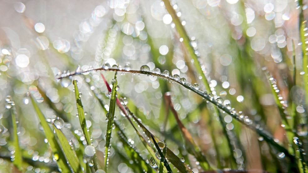 Für das Wochenende ist wechselhaftes Wetter angekündigt. Foto: Matthias Bein/dpa