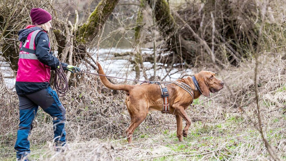 Auch an diesem Wochenende wird die Suche nach dem vermissten Pawlos fortgesetzt. Foto: Andreas Arnold/dpa