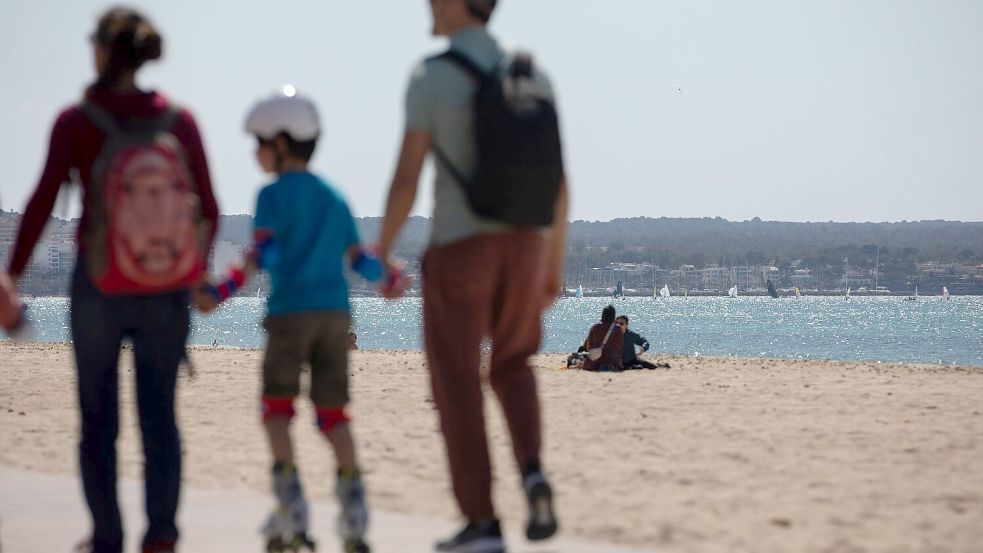 An manchen Stränden Mallorcas hat der Sturm vom Wochenende massenhaft Segelquallen angeschwemmt. Für Menschen sind sie harmlos. Aber sie stinken. (Symbolbild) Foto: Clara Margais/dpa