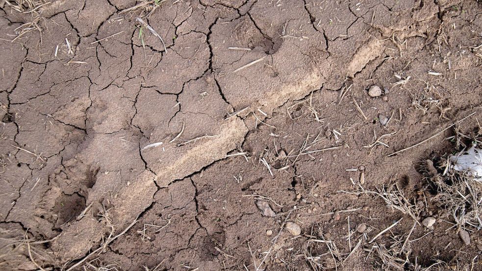 Risse durchziehen den Boden eines Ackers. Trockenheit macht Landwirten, Obst- und Weinbauern in Teilen Bayerns in diesem Jahr bereits früh zu schaffen. (Archivbild) Foto: Pia Bayer/dpa